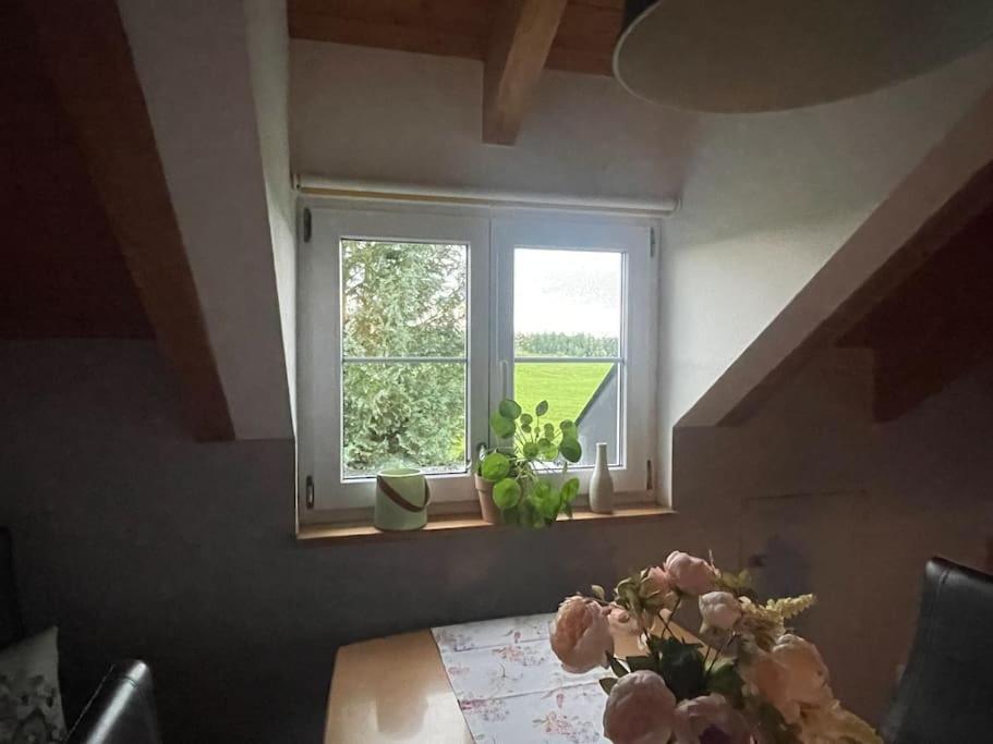 Panorama Saentisblick Daire Hergatz Dış mekan fotoğraf