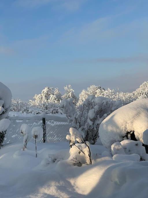 Panorama Saentisblick Daire Hergatz Dış mekan fotoğraf