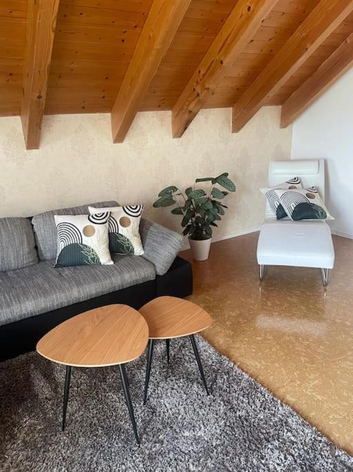 Panorama Saentisblick Daire Hergatz Dış mekan fotoğraf