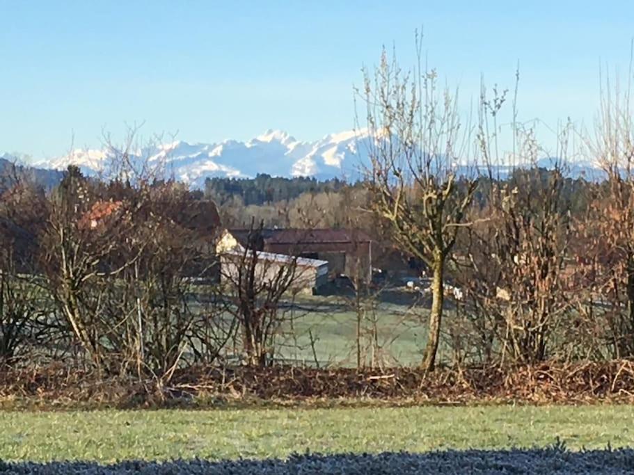 Panorama Saentisblick Daire Hergatz Dış mekan fotoğraf