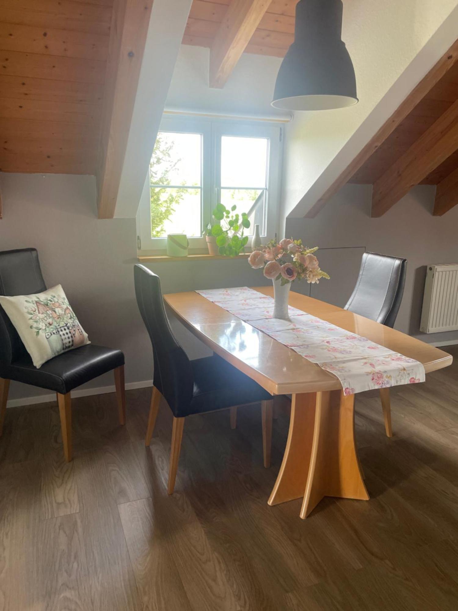 Panorama Saentisblick Daire Hergatz Dış mekan fotoğraf